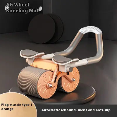 Ab Roller Wheel with Auto Rebound